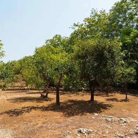 ヴィラ Tenuta Rosa In Salento *