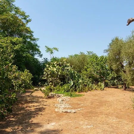 Tenuta Rosa In Salento *